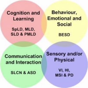 The four areas of need, cognition and learning, behavioural, emotional and social, communication and interaction, and sensory and/or physical,
