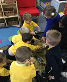 A group of children touching some materials