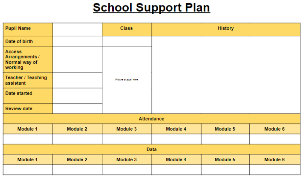A tabular school plan containing different fields about a specific student