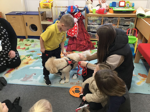 Nursery children stroking a Dog in the classroom, under the supervision of a member of staff.